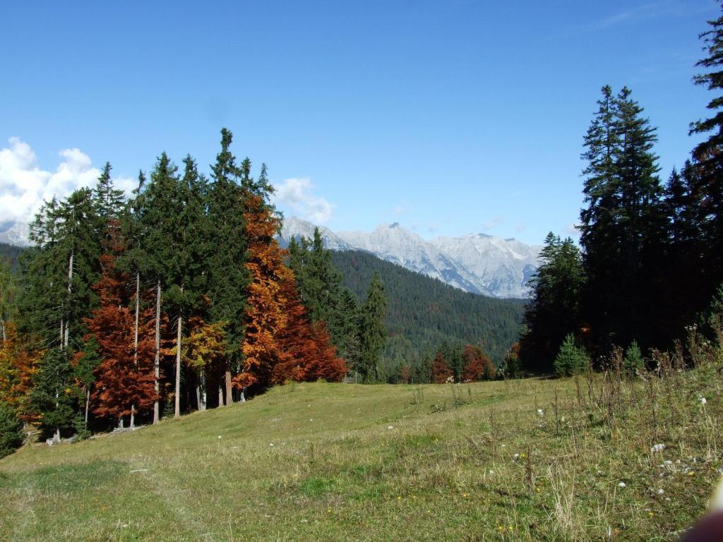 Hotel Menthof Seefeld w Tirolu Pokój zdjęcie