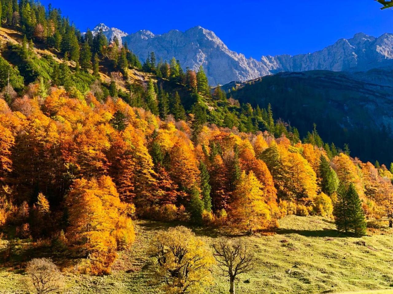 Hotel Menthof Seefeld w Tirolu Zewnętrze zdjęcie